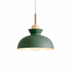 Nordic Dome Pendant Light | Adjustable Colourful Kitchen Lighting | Scandinavian Style Light Fixtures for modern home decor in Green color