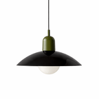 Nordic Pendant Light | Minimalist Iron Design for Kitchen Pendant Lighting Lighting for modern home decor in Black color
